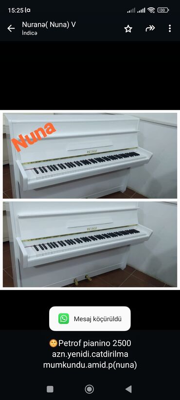 petrof piano: Пианино