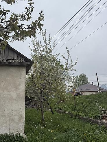 Продажа участков: 8 соток, Для бизнеса — 5