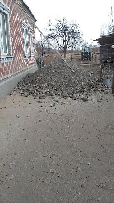 соль лизунец для животных: Продаю | Баран (самец) | Для разведения | Осеменитель — 4