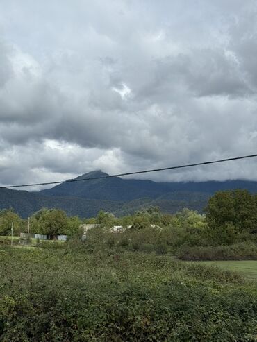 Torpaq sahələrinin satışı: 23 sot, Tikinti, Mülkiyyətçi, Kupça (Çıxarış) -da lalafo.az — 14 Torpaq sahələrinin satışı: 23 sot, Tikinti, Mülkiyyətçi, Kupça (Çıxarış) — 14