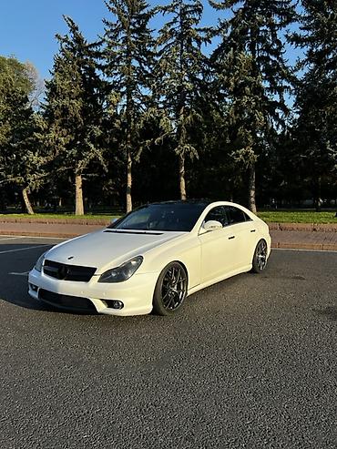 оптика на мерседес: Mercedes-Benz CLS-Class: 2005 г., 5.5 л, Автомат, Бензин, Купе — 9