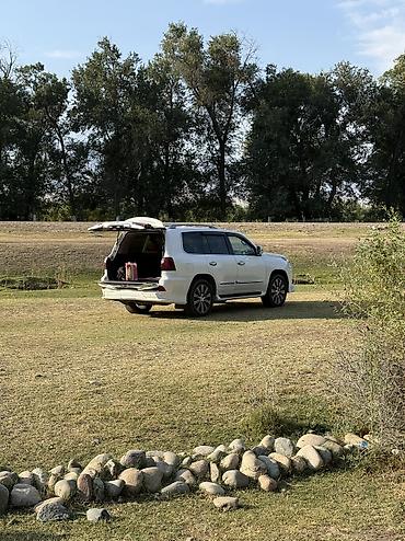 lehsus 570: Lexus LX: 2013 г., Бензин — 2