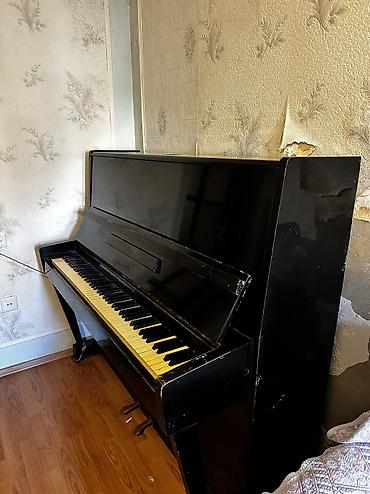 Pianolar: Oktava Pianino — 3