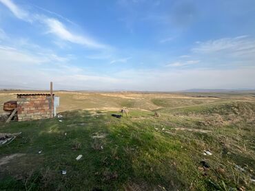 Torpaq sahələrinin satışı: Kənd təsərrüfatı — 30