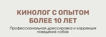 выгуливать собак: 6 месяцев, Самец
