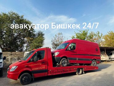 Детский мир: Эвакуатор эвакуатор эвакуатор эвакуатор эвакуатор эвакуатор эвакуатор