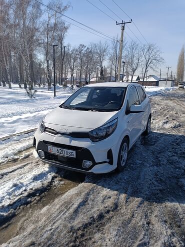 Kia: Kia Morning: 2021 г., 1 л, Автомат, Бензин, Хэтчбэк