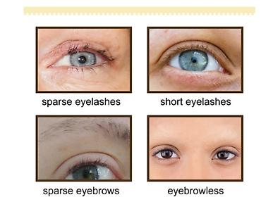 древмас: ❄️ США Отращиватель ресниц shinwink lash & brow интенсивная — 9