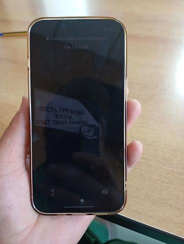 ipone: IPhone 14 Pro, Б/у, Графит, Чехол — 1