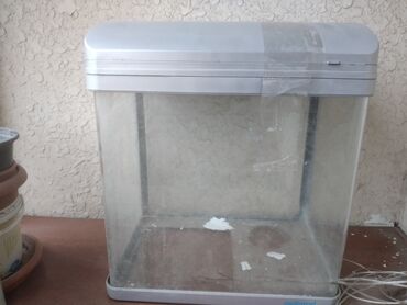 balıqlar haqqında məlumat: Dördbucaq akvarium, Boş, 20 l