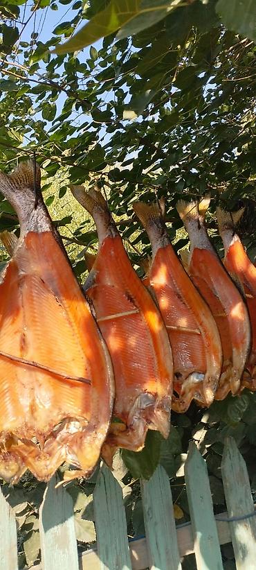 Другая рыбная продукция: Продаю холодного и горячего копчения Форель, домашнего приготовления — 12