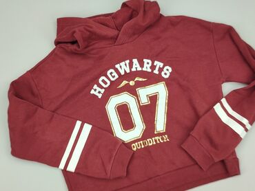 koszulki z lisem: Sweatshirt, H&M, 15 years, 164-170 cm, condition - Very good