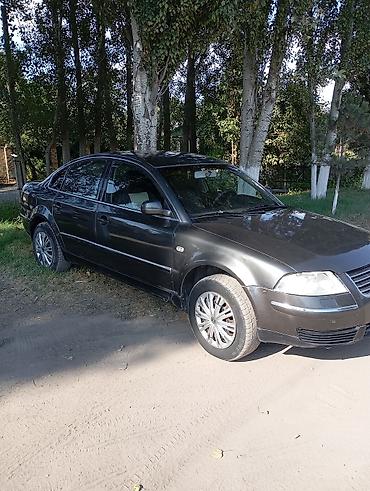a4 b7: Volkswagen Passat: 2003 г., 2.6 л, Механика, Бензин, Седан — 5