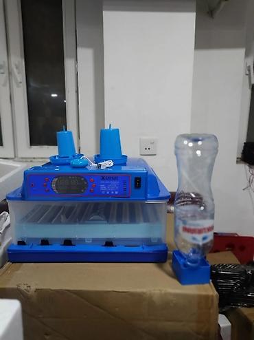 Inkubator inqibator inkibator inqubator incubator Ən Yeni Expert model — 4