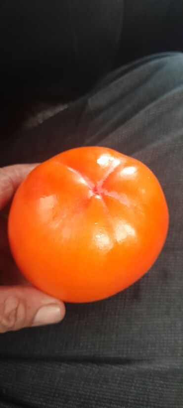 Meyvə və giləmeyvə: Her növ meyvə ağaclarının satışı — 2