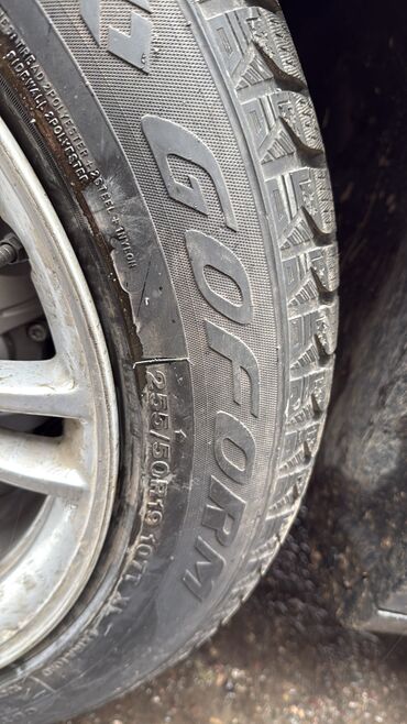 Tesla: Tesla Model Y: 2023 г., Электромобиль, Кроссовер — 12