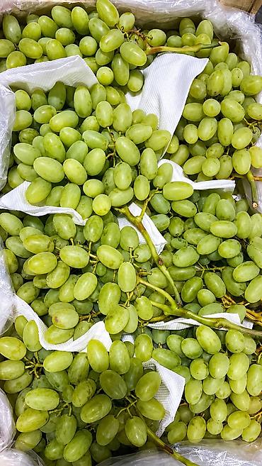 персик: Свежие фрукты: Персики и Виноград | Прямые поставки из Узбекистана 🍑 — 5