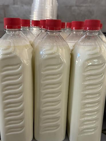 опарат для мороженое: Домашние молочные продукты - Молоко цельное в пластиковых бутылках с — 3