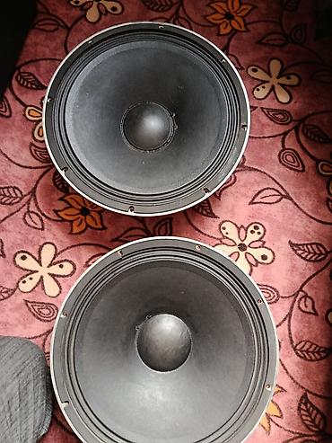 ucuz pc: D.A.S. Audio “Professional Series” 15P – 15 düym (38 sm) professional — 2