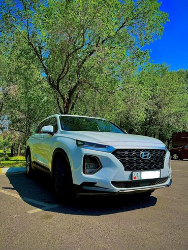 corolla runx: Hyundai Santa Fe: 2018 г., 2 л, Автомат, Дизель, Кроссовер