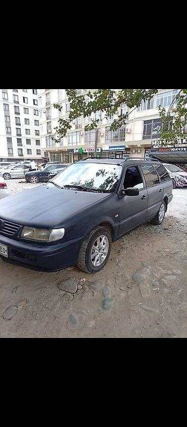 буран для мух: Volkswagen Passat Variant: 1994 г., 1.8 л, Универсал — 4