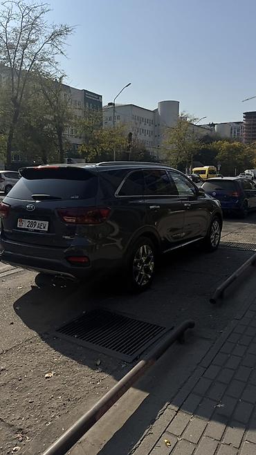 дверь соренто: Kia Sorento: 2019 г., 2 л, Типтроник, Дизель, Кроссовер — 6