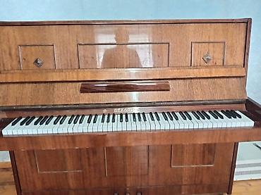 stels velosiped satisi: Piano, Belarus, Akustik, İşlənmiş, Ödənişli çatdırılma — 2