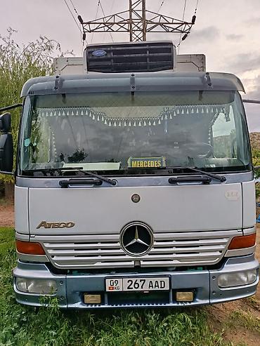 Mercedes-Benz: Mercedes-Benz Vario: 2004 г., 4.3 л, Ручные, Дизель, Фургон — 13