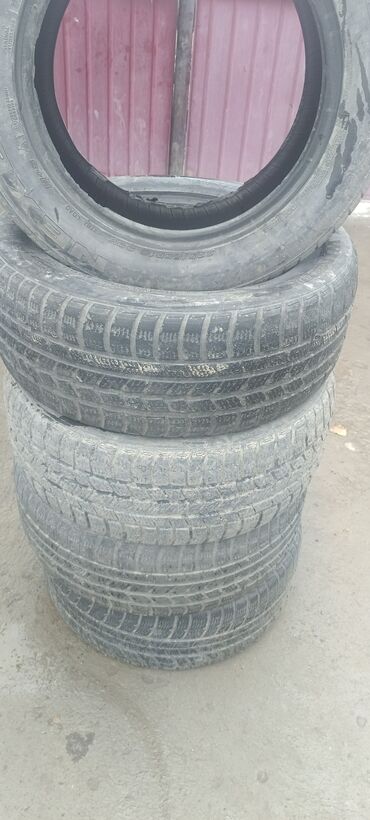 шины нивы: Шины 225 / 55 / R 16, Зима, Комплект, Легковые, Nexen