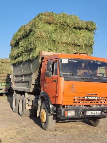 наполнитель для животных: Сено в тюках - Прессованные тюки зеленого сена, аккуратной