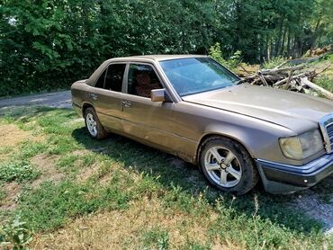 мини пылесос для автомобиля: Mercedes-Benz W124: 1990 г., 2.3 л, Механика, Бензин, Седан