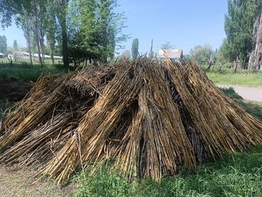 Корма для с/х животных: Бакал сатылат
1 боо 10 сом
От жаканга at lalafo.kg Корма для с/х животных: Бакал сатылат
1 боо 10 сом
От жаканга