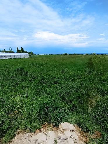 2 8: 10 соток, Для бизнеса, Красная книга — 3