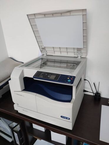 Сканеры: Work Centre 5021 принтер, сканер черно-белый формат А3 . Состояние