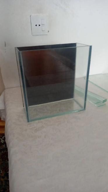 Akvariumlar: Salam istənilən ölçüdə akvarium və terariumlar yığıram nömrədə vhatsap — 15