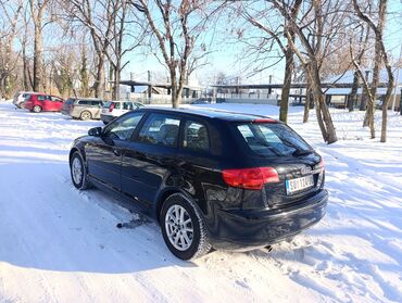 Audi: Audi A3: 1.6 l | 2006 г. Hečbek — 6