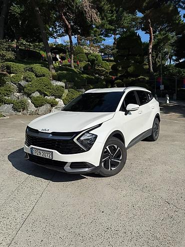 sprinter rex: Kia Sportage: 2022 г., Автомат, Кроссовер — 4