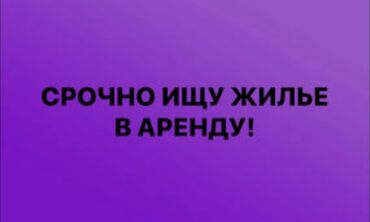 1 комнатная квартира чолпон ата: 1 комната, 36 м²