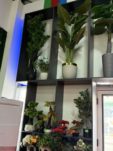 Güzgülər: Güzgü Divar üçün — 11