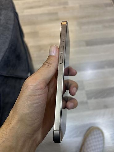 IPhone 13 Pro, Ağ