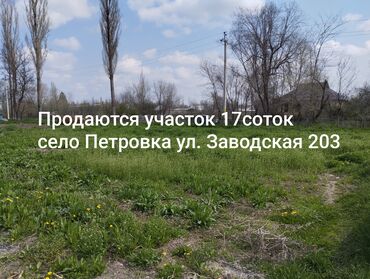 земельный участок балыкчы: 17 соток, Для сельского хозяйства, Договор долевого участия