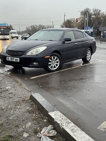 тайота марк 1: Toyota Windom: 2003 г., 3 л, Автомат, Газ, Седан — 2