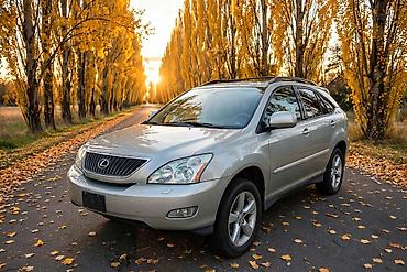 Унаа: Lexus RX: 2003 г., 3.3 л, Автомат, Бензин, Жол тандабас — 8