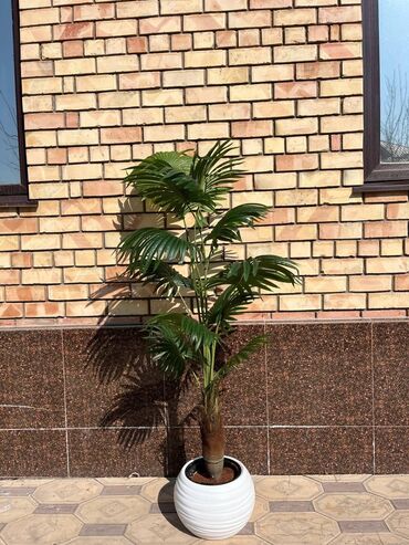 Декоративные цветы: Искусственные деревья и цветы — долговечный и стильный декор без at lalafo.kg — 10 Декоративные цветы: Искусственные деревья и цветы — долговечный и стильный декор без — 10