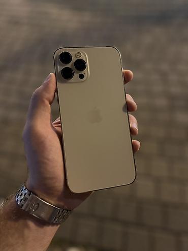 iphone 12 pro max case: IPhone 12 Pro Max, Gümüşü, Face ID — 1