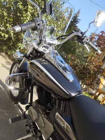 motosiklet sekilleri: Bajaj - AVENGER 220 sm3, 2023 il, 7000 km