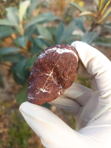 Qiymətli daşlar: 💎 Təbii JASPER Daşı😍 Qiymətlə bağlı maraqlananlar zəhmət olmasa — 4