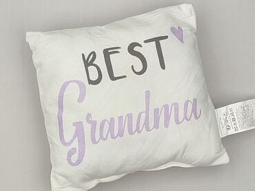 PL - Pillow 23 x 20, color - White, condition - Very good