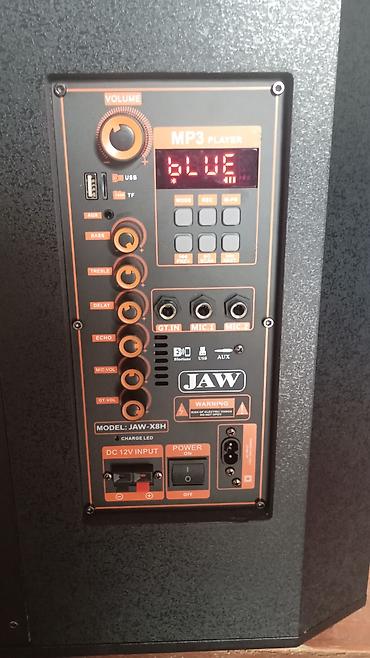 hi fi плеер: Портативная акустическая система JAW JAW-X8H с беспроводным микрофоном — 1
