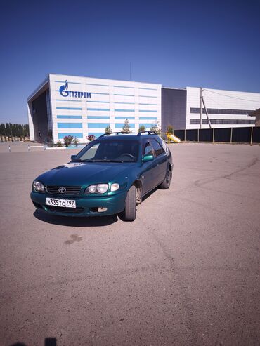шына на трактор: Toyota Corolla: 2000 г., 1.6 л, Механика, Бензин, Универсал